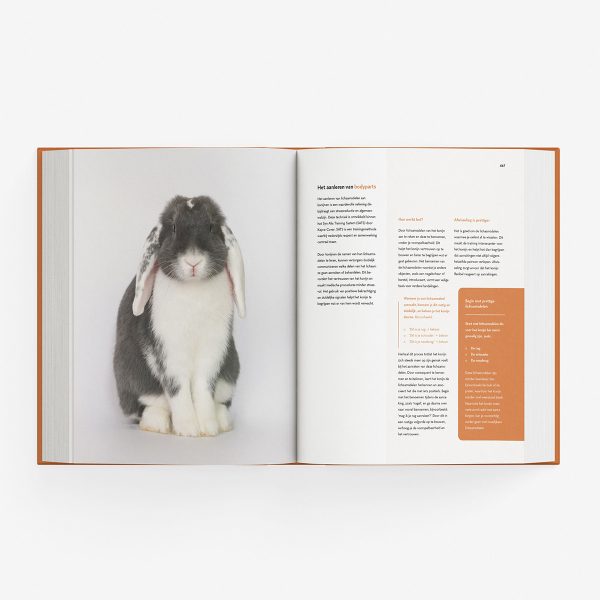 Boek A tot Z KONIJNEN - Afbeelding 4