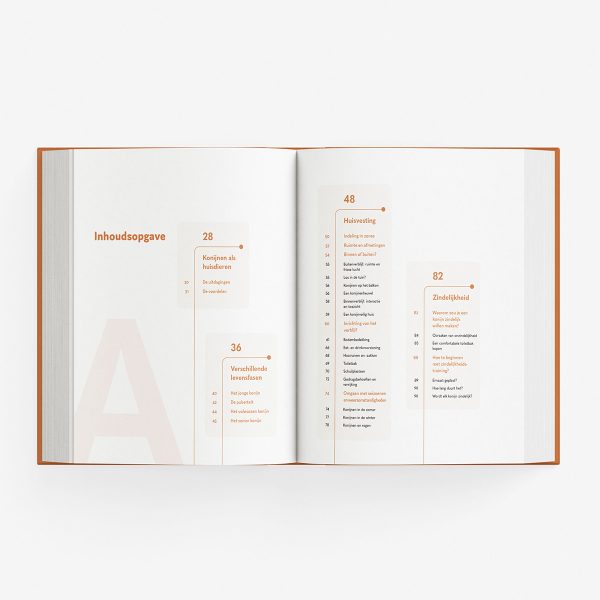 Boek A tot Z KONIJNEN - Afbeelding 3